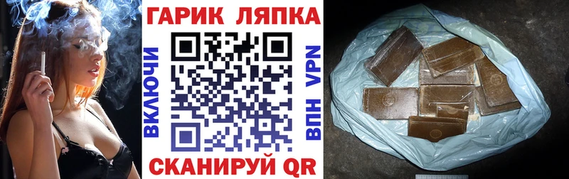 ГАШ Premium  купить  цена  Сусуман 